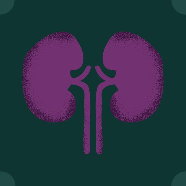 Renal dog food