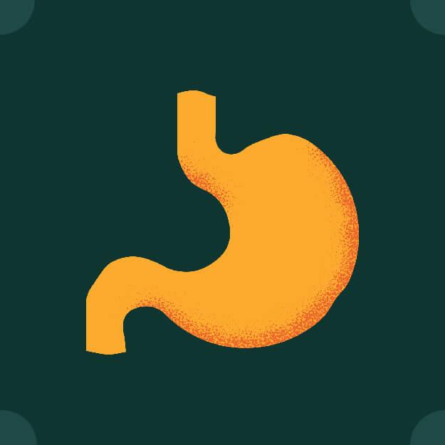 Sensitive stomach dog food