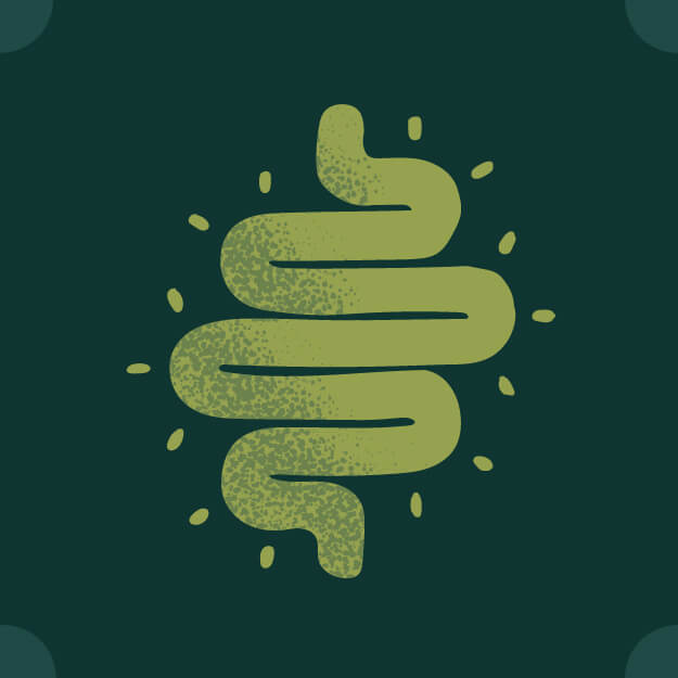 Pancreatitis dog food