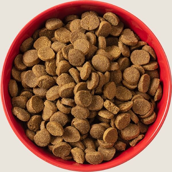 Kibble dog food